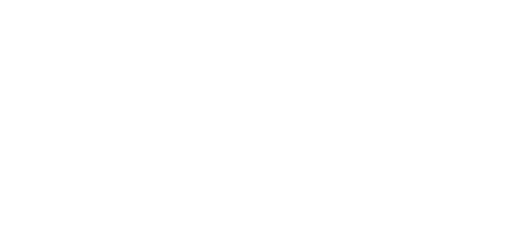 ton technology services